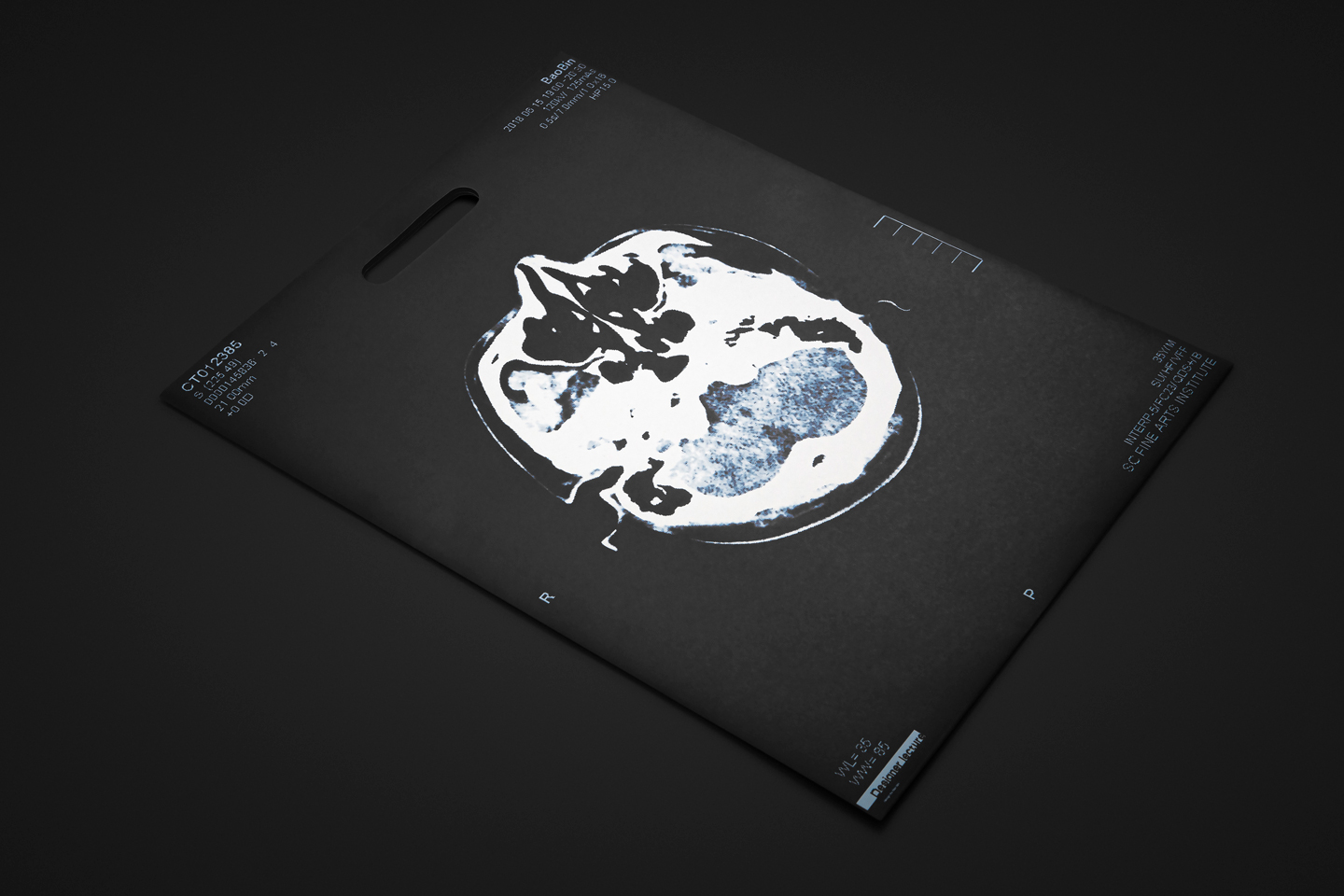 WORKS INTEGRATED WITH IDEAS